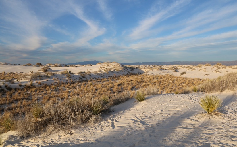 A Few Days at White Sands National Monument